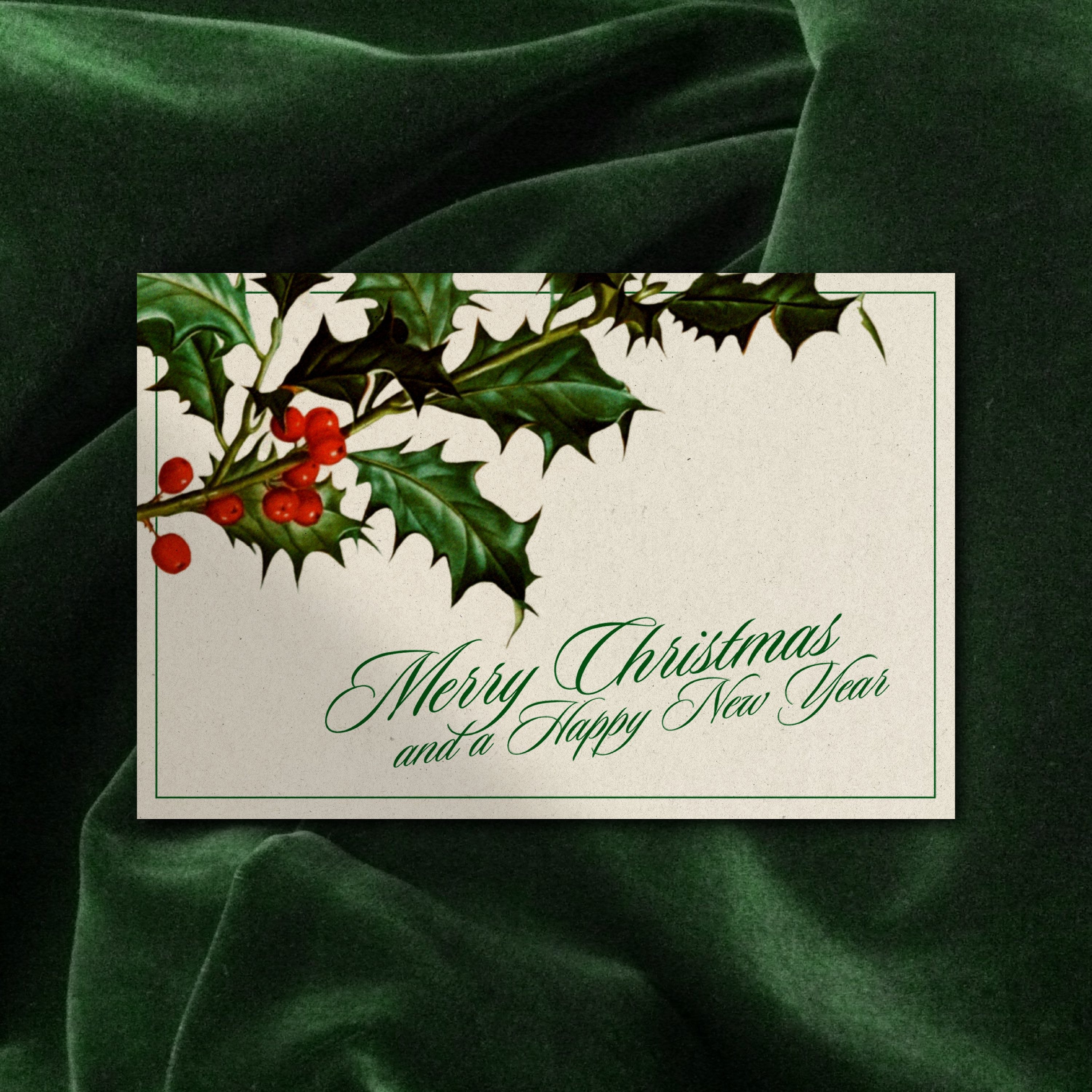 Holly Christmas & New Year Cards | Pack of 10
