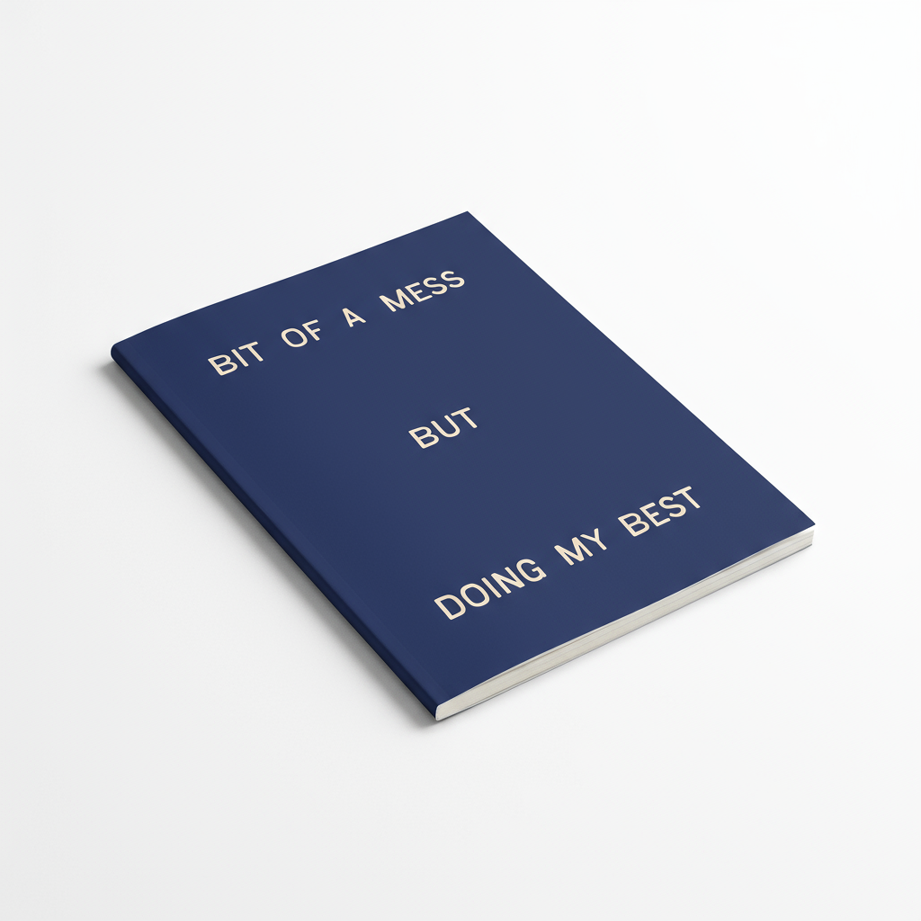 Bit Of A Mess - But Doing My Best | Journal