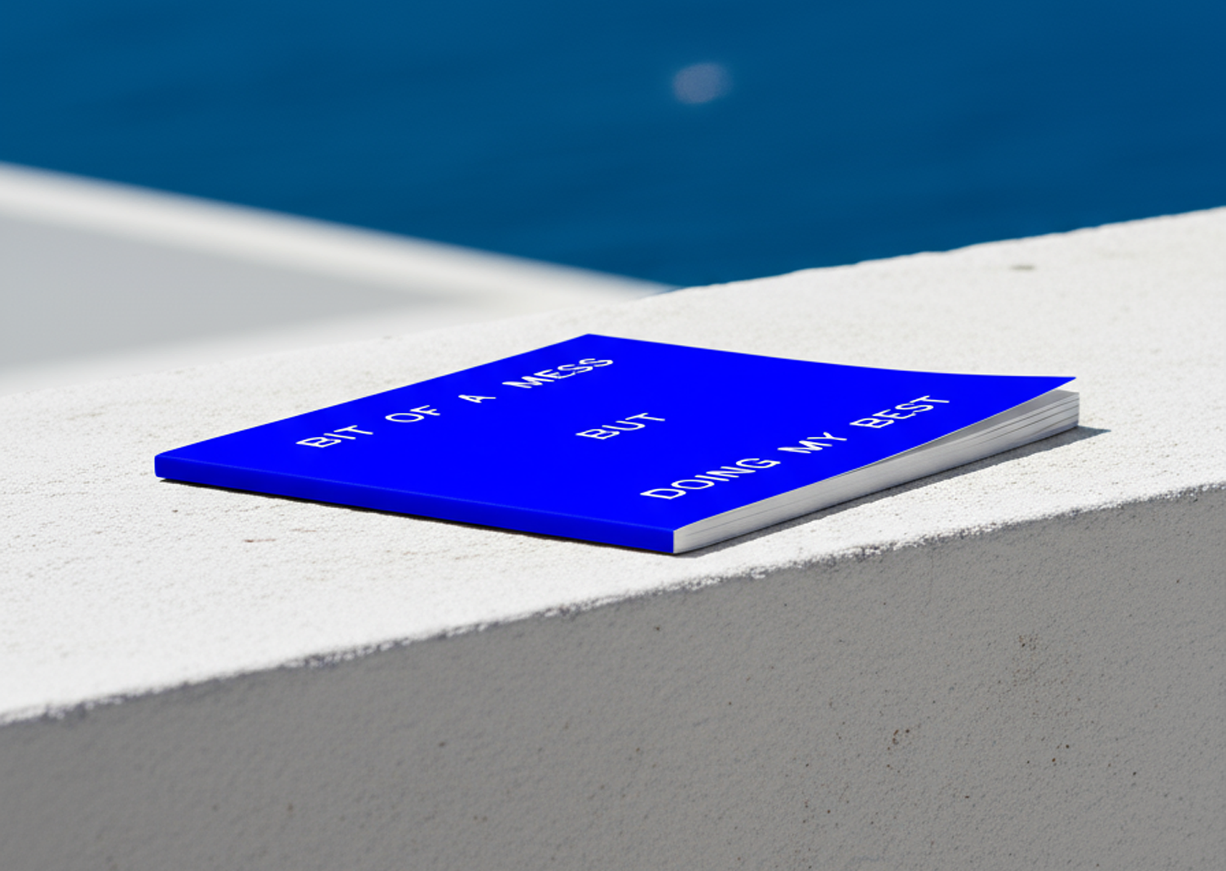 Bit Of A Mess - But Doing My Best | Journal